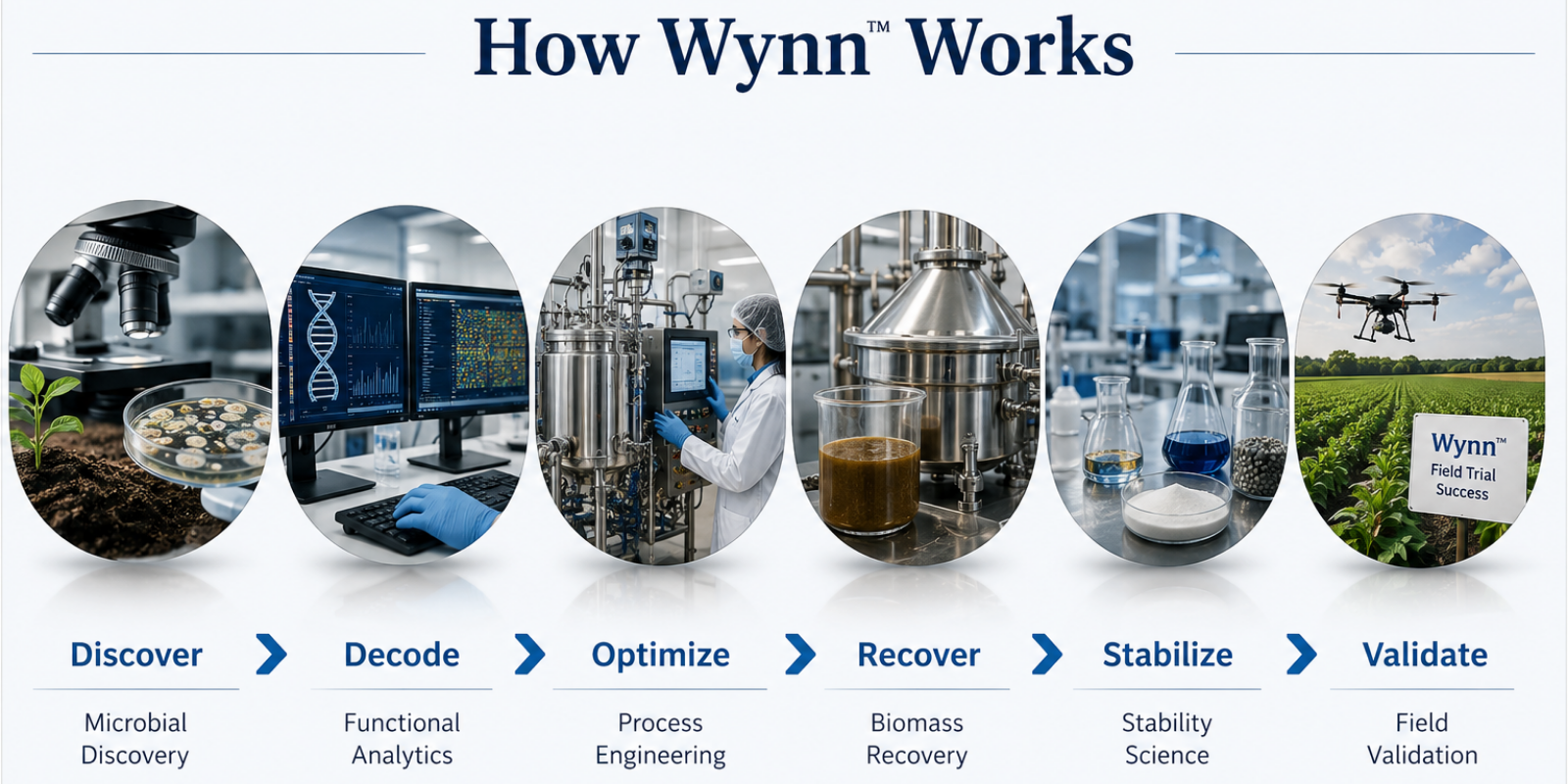Wynn bioprocess fermentation and microbial development laboratory